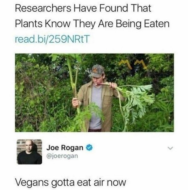 vegans gotta eat air now - Researchers Have Found That Plants Know They Are Being Eaten read.bi259NRET Joe Rogan Vegans gotta eat air now