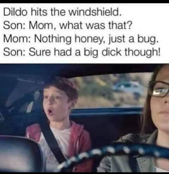 meme - dildo hits the windshield meme - Dildo hits the windshield. Son Mom, what was that? Mom Nothing honey, just a bug. Son Sure had a big dick though!