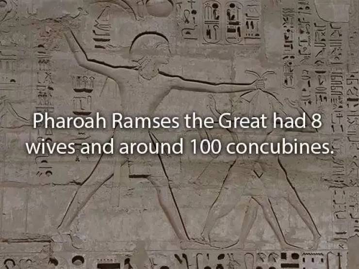 Ancient Egypt Was An Advanced But Weird Civilization