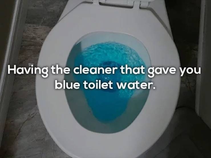 toilet seat - Having the cleaner that gave you blue toilet water.