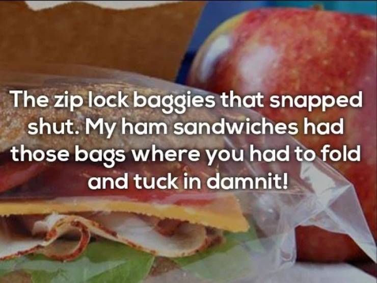 sandwich lunch bag - The zip lock baggies that snapped shut. My ham sandwiches had those bags where you had to fold and tuck in damnit!