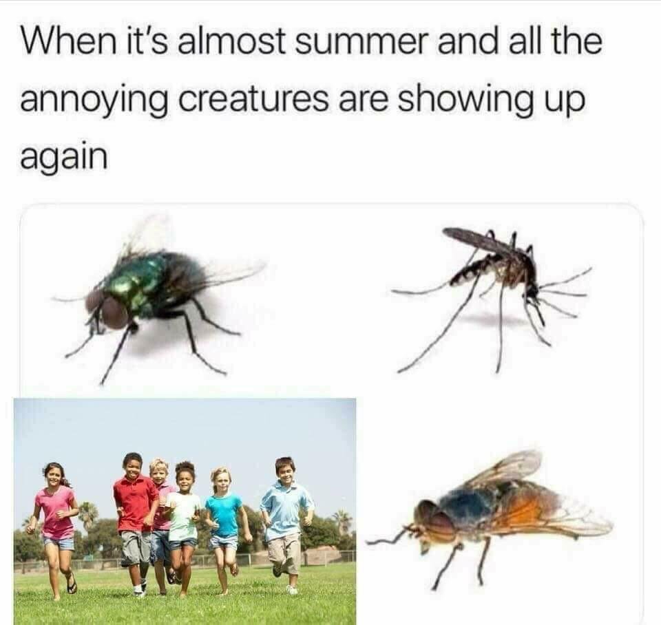 summer annoying creatures meme - When it's almost summer and all the annoying creatures are showing up again