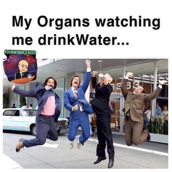 anchorman news team - My Organs watching me drink Water...