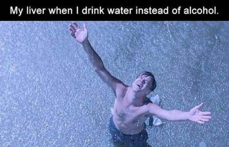 shawshank memes - My liver when I drink water instead of alcohol.