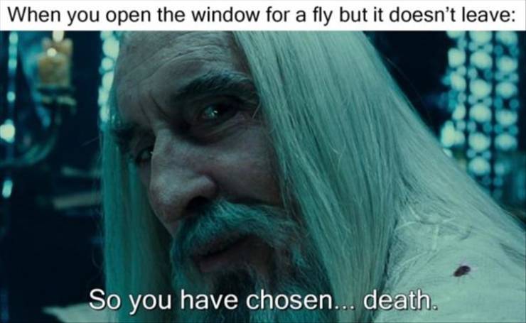 meme - saruman memes - When you open the window for a fly but it doesn't leave So you have chosen... death.