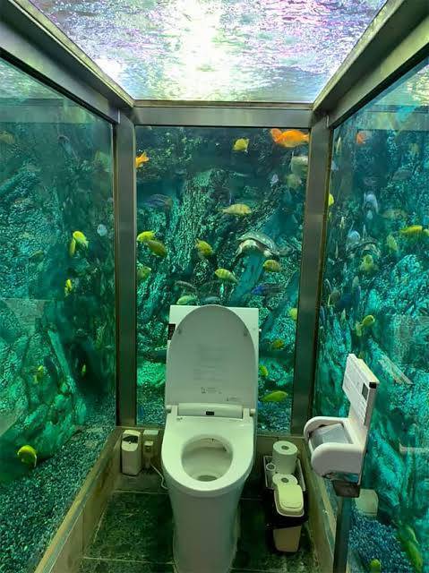 aquarium bathroom