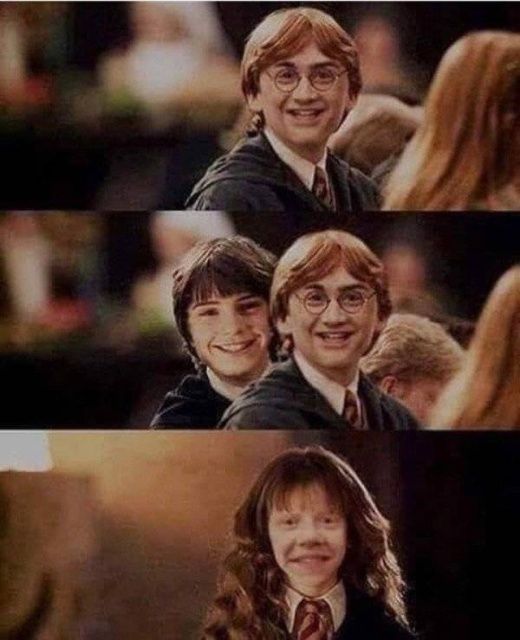 funny meme - ron and hermione face swap
