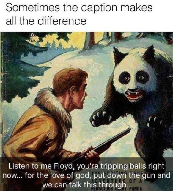 funny meme - listen to me floyd you re tripping balls - Sometimes the caption makes all the difference Listen to me Floyd, you're tripping balls right now... for the love of god, put down the gun and we can talk this through..Anda Crucious