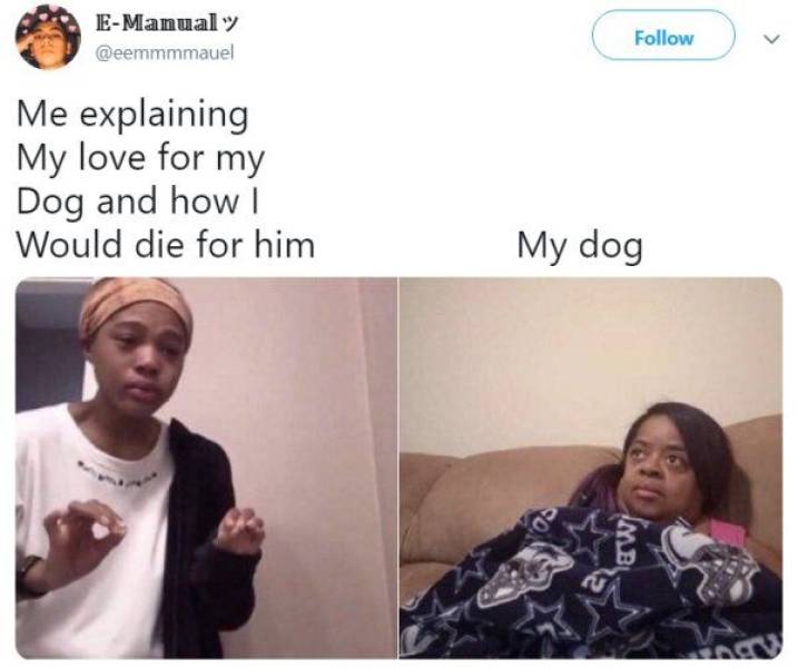 explaining a song to google meme - EManual Me explaining My love for my Dog and how 1 Would die for him My dog Ime