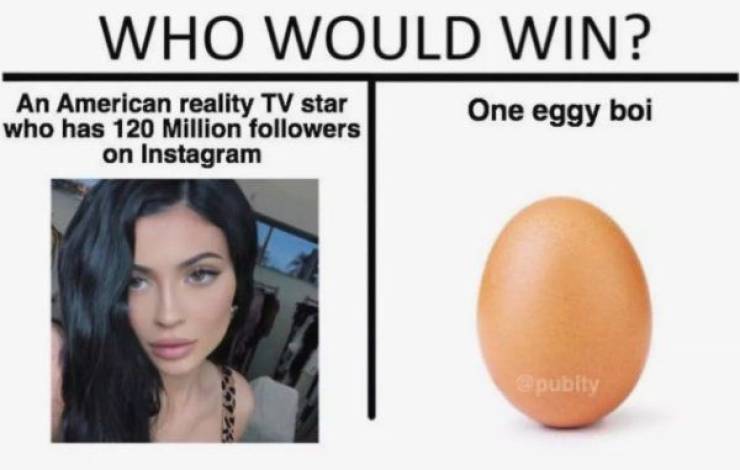 eggy boi meme - Who Would Win? One eggy boi An American reality Tv star who has 120 Million ers on Instagram pubity