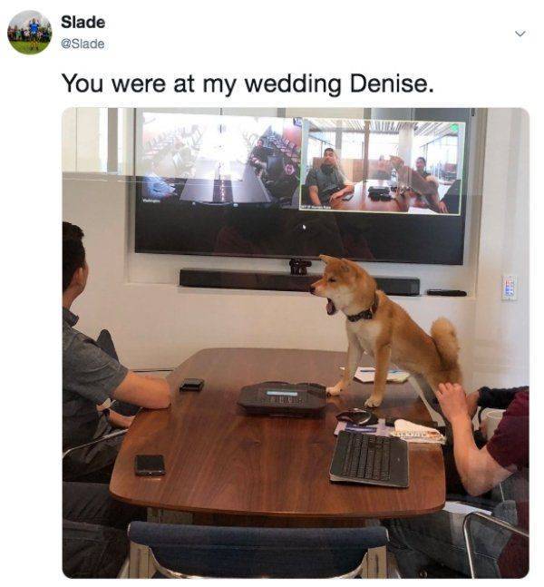 photo caption - Slade You were at my wedding Denise.
