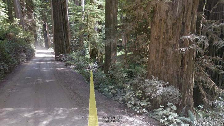 bigfoot on google street view - 2015 Google 2015 Google Google ee