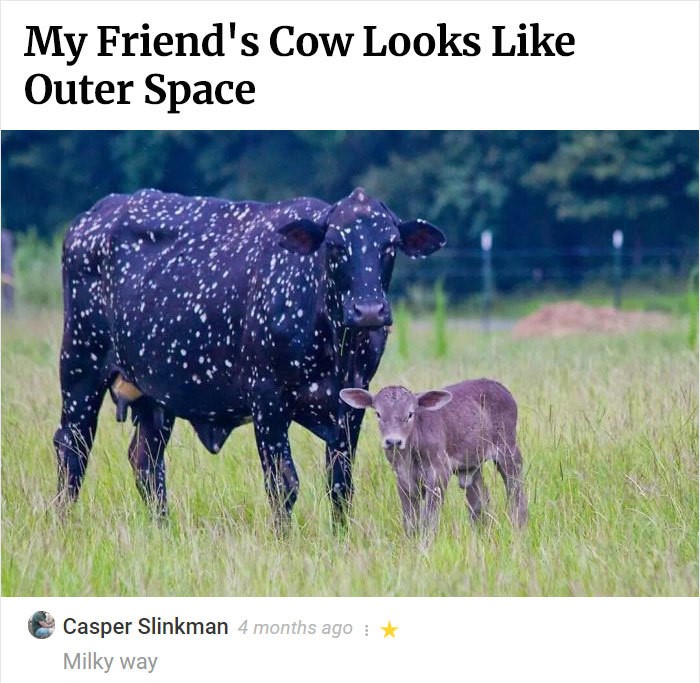outer space cow - My Friend's Cow Looks Outer Space Casper Slinkman 4 months ago 1 Milky way