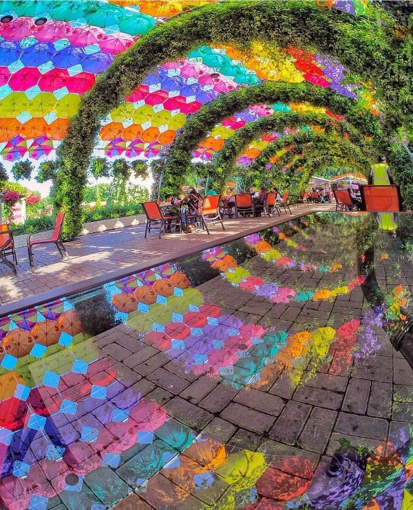 dubai miracle garden