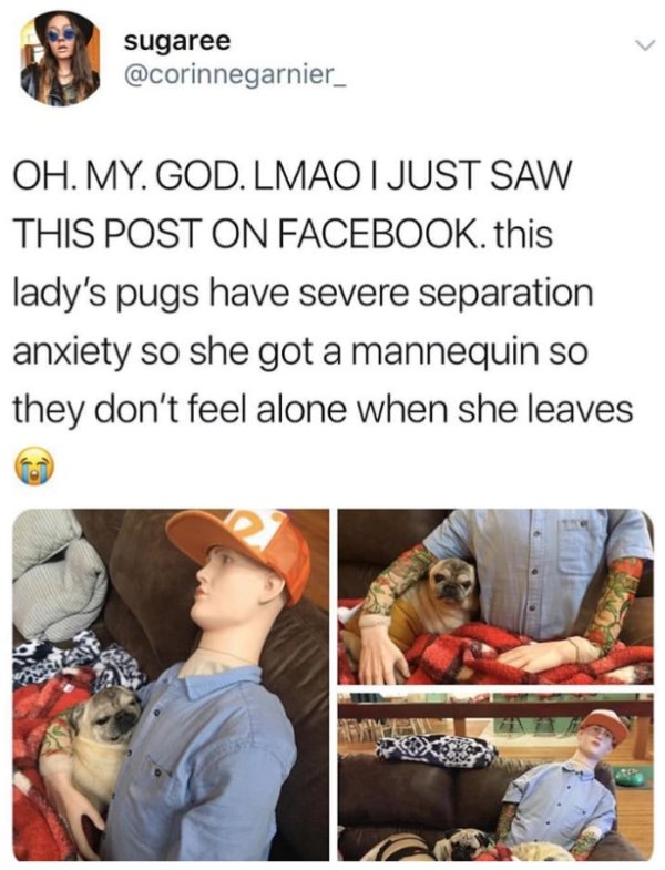 out with mannequin for separation anxiety - sugaree Oh. My. God. Lmao I Just Saw This Post On Facebook. this lady's pugs have severe separation anxiety so she got a mannequin so they don't feel alone when she leaves