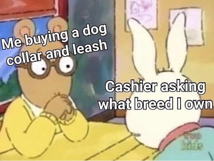 arthur reaction - Me buying a dog collar and leash Cashier asking what breed I own