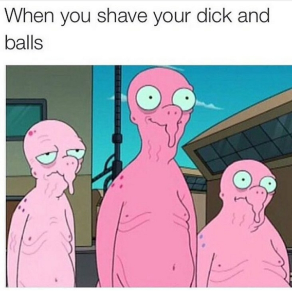 naked mole rat memes - When you shave your dick and balls