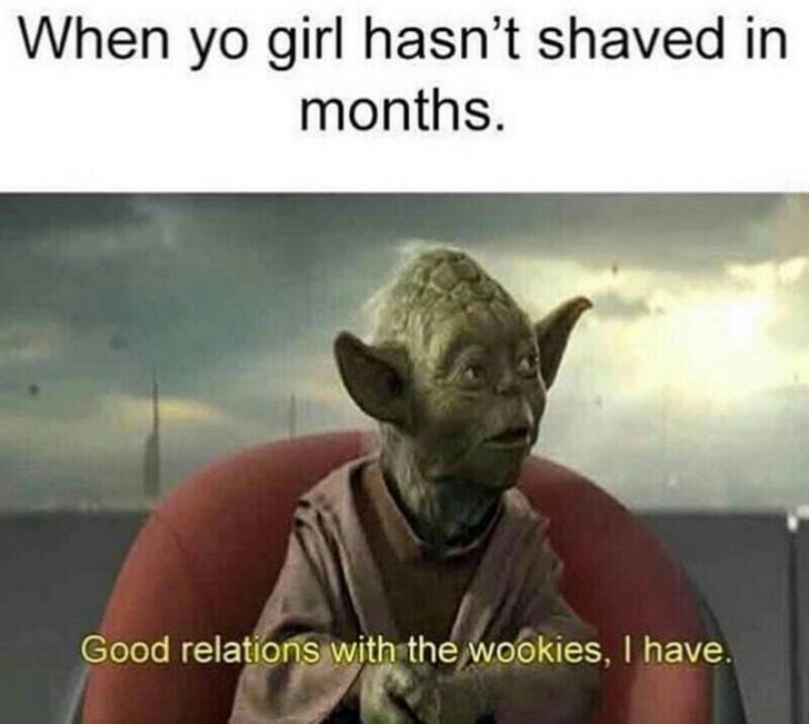 good relations with the wookies i have - When yo girl hasn't shaved in months. Good relations with the wookies, I have.