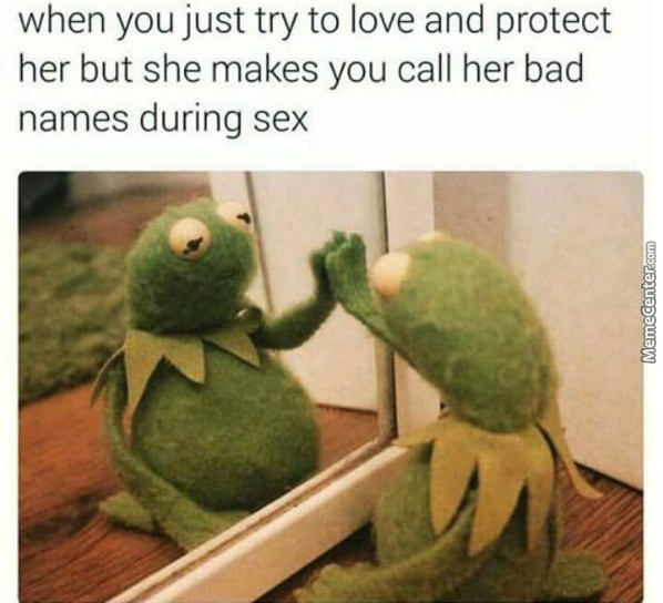wanna love you meme - when you just try to love and protect her but she makes you call her bad names during sex MemeCenter.com