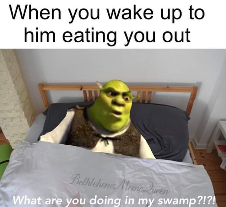 photo caption - When you wake up to him eating you out Bethlehem Meme Que cerz What are you doing in my swamp ?!?!