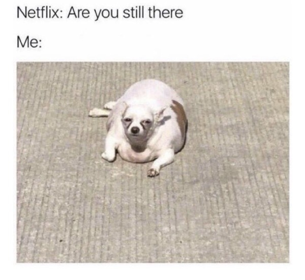 netflix are you still there - Netflix Are you still there Me