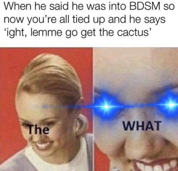 bdsm cactus meme - When he said he was into Bdsm So now you're all tied up and he says right, lemme go get the cactus' What