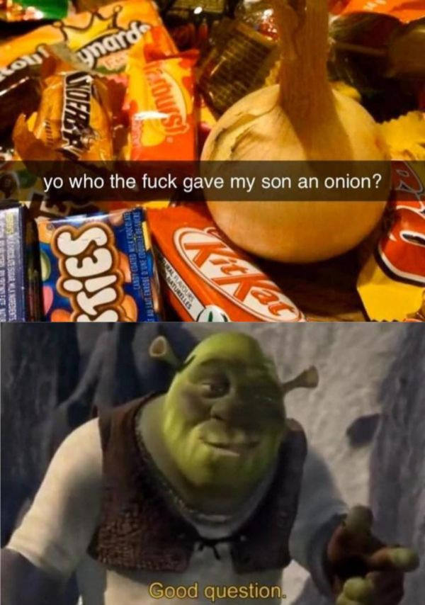 mitochondria is the powerhouse of the cell - yo who the fuck gave my son an onion? Ustcatel Heterosenborg Tatus S Good question.