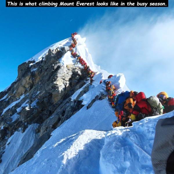 mount everest meme - This is what climbing Mount Everest looks in the busy season.