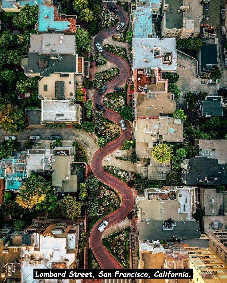 san francisco birds eye view - Ht Lombard Street, San Francisco, California.