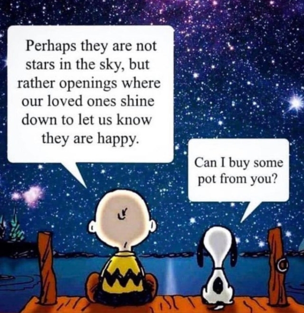 perhaps they are not stars in the sky - Perhaps they are not stars in the sky, but rather openings where our loved ones shine down to let us know they are happy. Can I buy some pot from you?