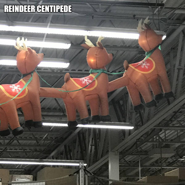 Christmas decoration - Reindeer Centipede