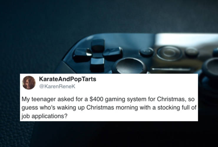 multimedia - Karate AndPop Tarts Renek My teenager asked for a $400 gaming system for Christmas, so guess who's waking up Christmas morning with a stocking full of job applications?