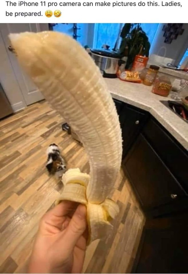 iphone 11 camera banana - The iPhone 11 pro camera can make pictures do this. Ladies, be prepared.