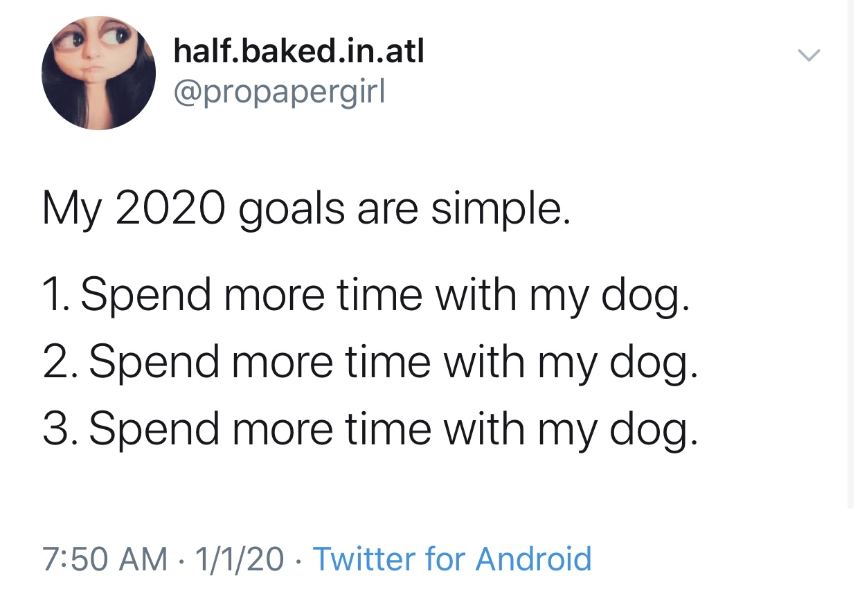 2020 memes - facts about you - halt.be half.baked.in.atl My 2020 goals are simple. 1. Spend more time with my dog. 2. Spend more time with my dog. 3. Spend more time with my dog. 1120 Twitter for Android