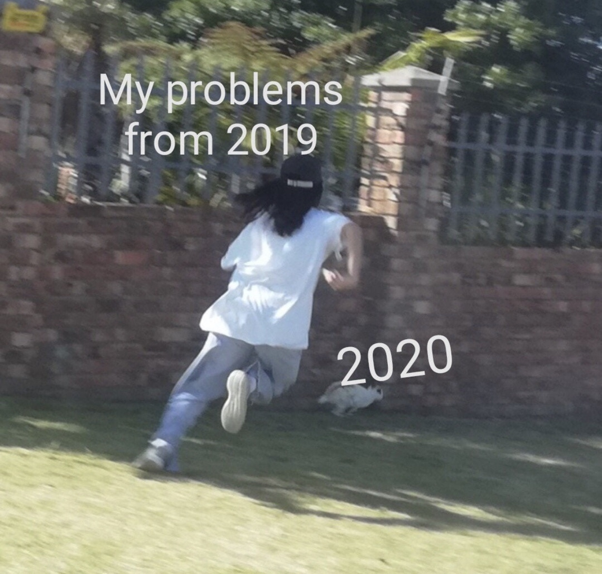 2020 memes - grass - My problems from 2019 2020
