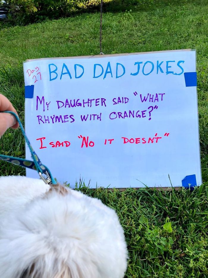 30 Dad Jokes That Are So Bad Theyre Good Gallery Ebaums World