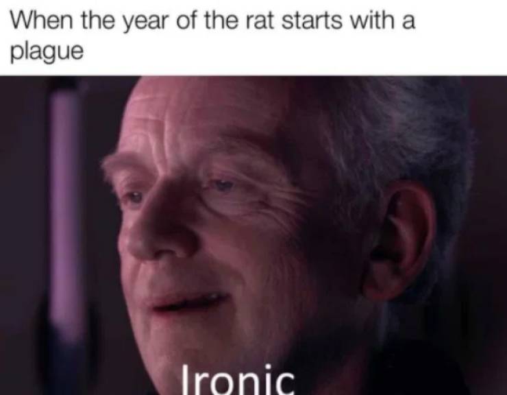 plague meme - When the year of the rat starts with a plague Ironic