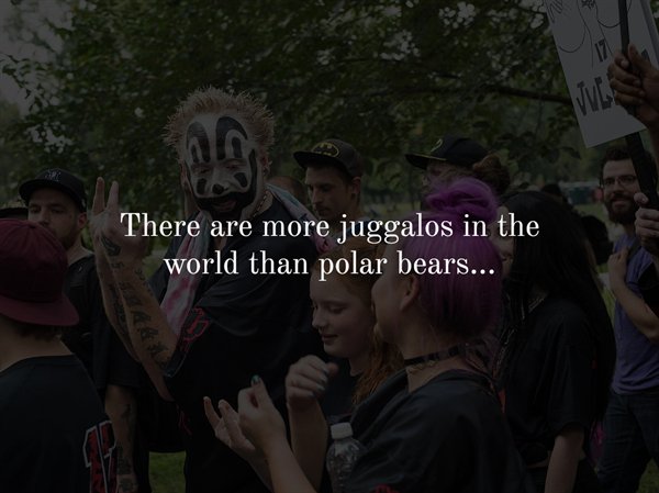 insane clown posse juggalo - 17 There are more juggalos in the world than polar bears...