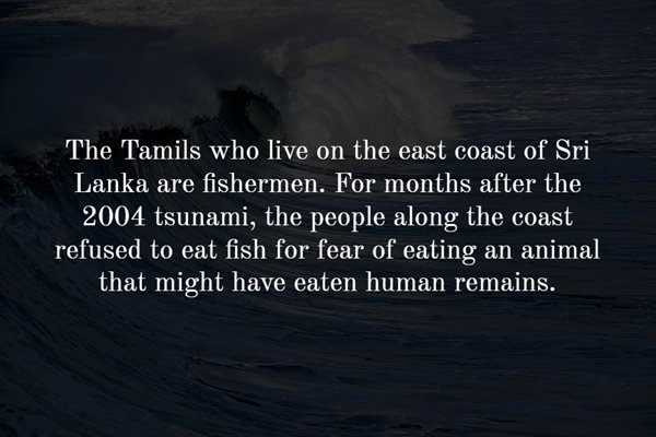 atmosphere - The Tamils who live on the east coast of Sri Lanka are fishermen. For months after the 2004 tsunami, the people along the coast refused to eat fish for fear of eating an animal that might have eaten human remains.