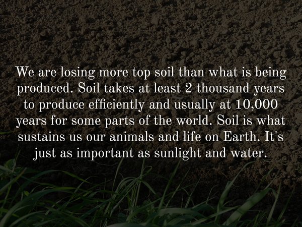 grass - We are losing more top soil than what is being produced. Soil takes at least 2 thousand years to produce efficiently and usually at 10,000 years for some parts of the world. Soil is what sustains us our animals and life on Earth. It's just as impo
