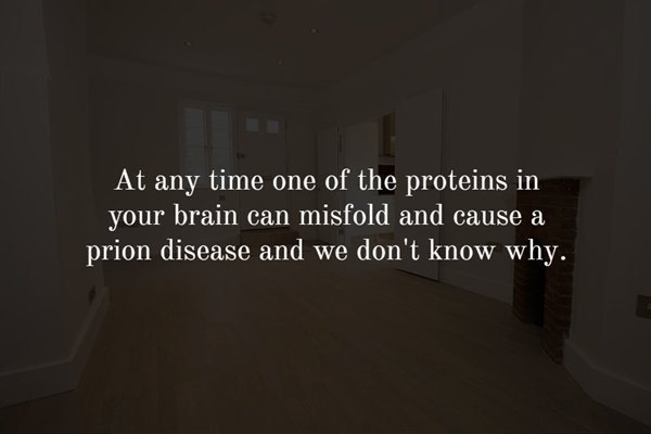 wall - At any time one of the proteins in your brain can misfold and cause a prion disease and we don't know why.
