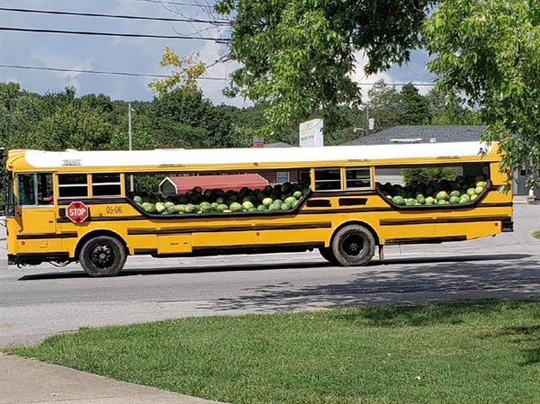 “Bus modified to transport melons.”