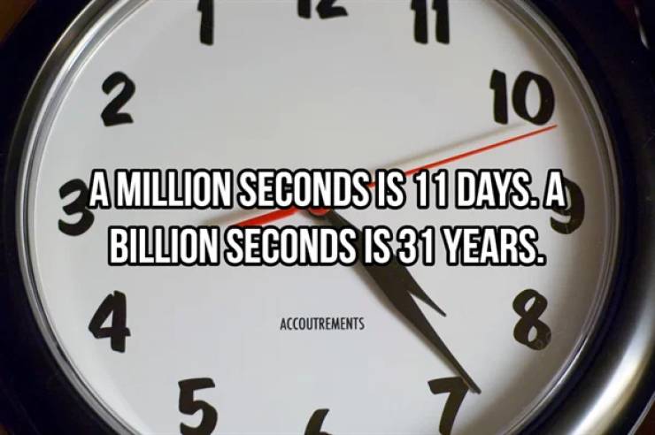 backwards clock - 2 10 A Million Seconds Is 11 Days. A Billion Seconds Is 31 Years. 4 5 Accoutrements 8