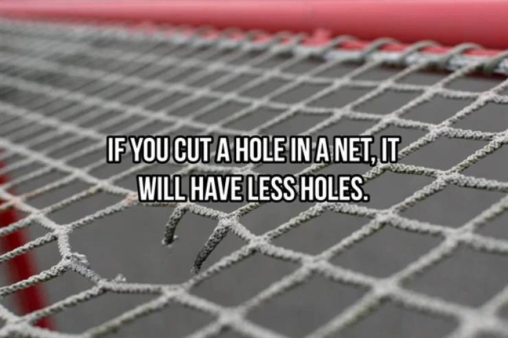 Minecraft - If You Cut A Hole In A Net, Ut Will Have Less Holes