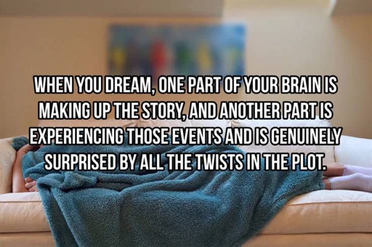 When You Dream, One Part Of Your Brain Is Making Up The Story, And Another Part Is Experiencing Those Events And Is Genuinely Surprised By All The Twists In The Plot.