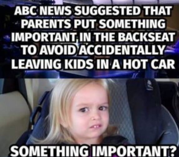 photo caption - Abc News Suggested That Parents Put Something Important In The Backseat To Avoid Accidentally Leaving Kids In A Hot Car Something Important?