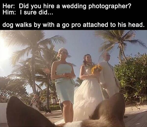 romance - Her Did you hire a wedding photographer? Him I sure did... dog walks by with a go pro attached to his head.