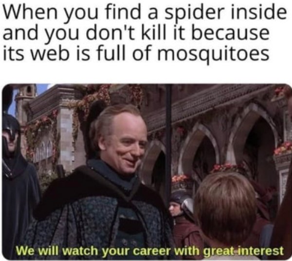 meme we ll follow your career with great interest template - When you find a spider inside and you don't kill it because its web is full of mosquitoes World We will watch your career with great interest