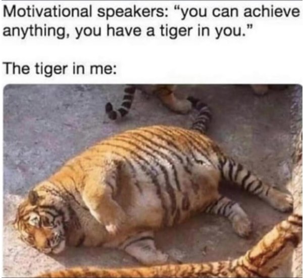 you can achieve anything you have a tiger in you - Motivational speakers "you can achieve anything, you have a tiger in you." The tiger in me