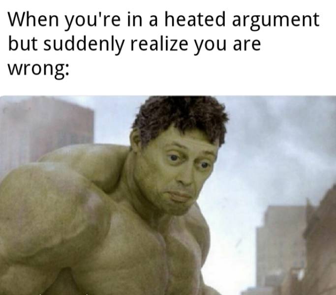 sibling memes - When you're in a heated argument but suddenly realize you are wrong